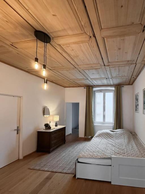Hypercentre 80M2, A Deux Pas Du Chateau Des Rohan Саверн Екстериор снимка