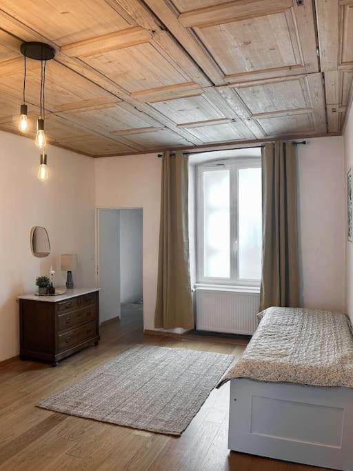 Hypercentre 80M2, A Deux Pas Du Chateau Des Rohan Саверн Екстериор снимка