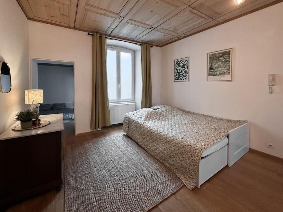 Hypercentre 80M2, A Deux Pas Du Chateau Des Rohan Саверн Екстериор снимка